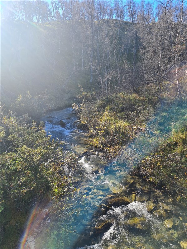 Höst på Rindö